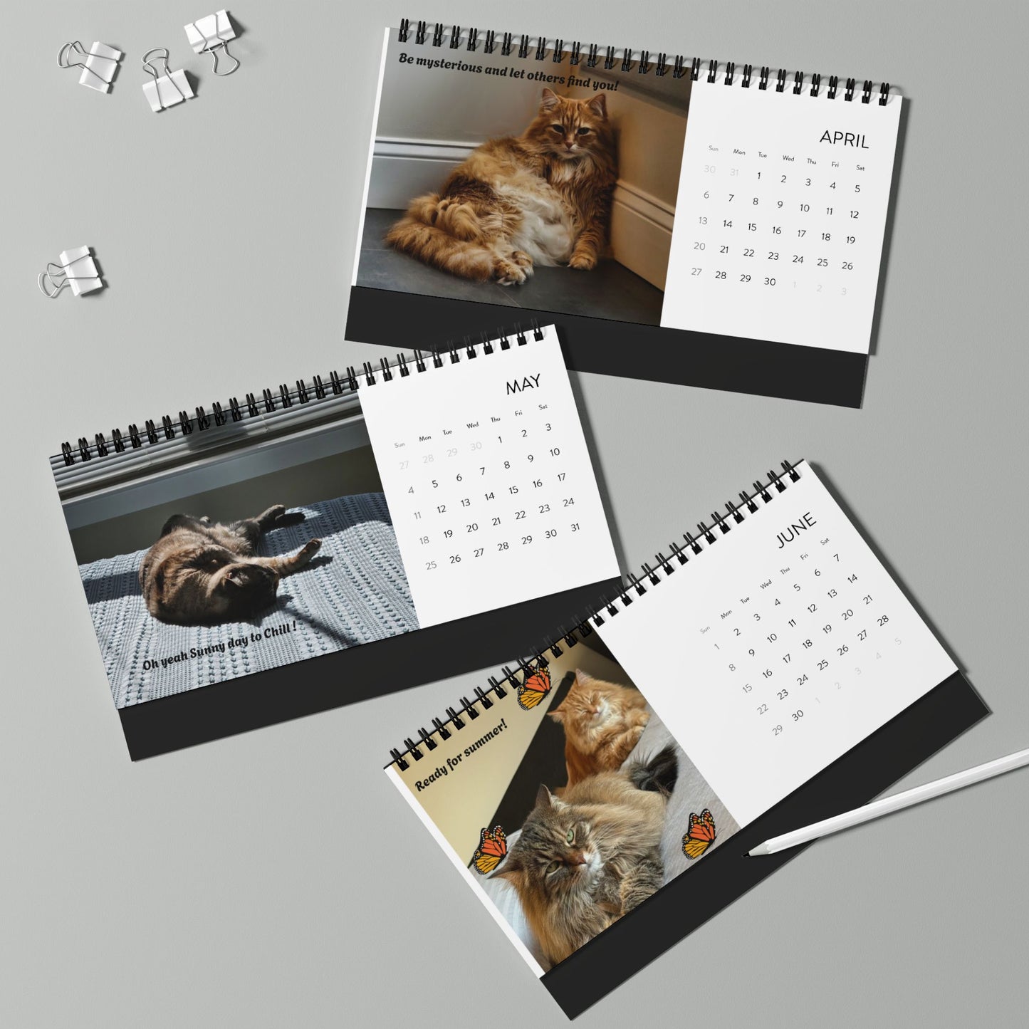Desktop Calendar (2025) Pets Pictures | Cat & Dog Lovers Calendar