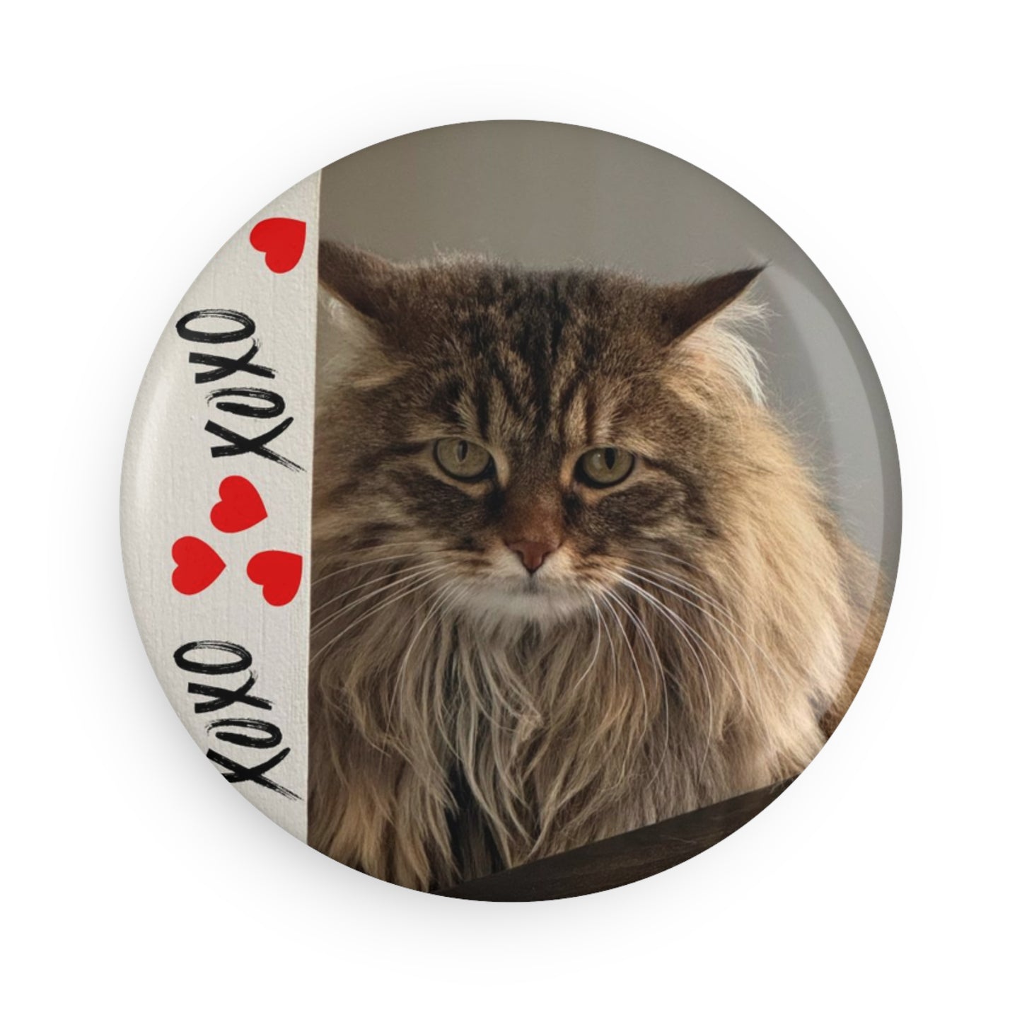 Custom Magnet Mishka the Cat