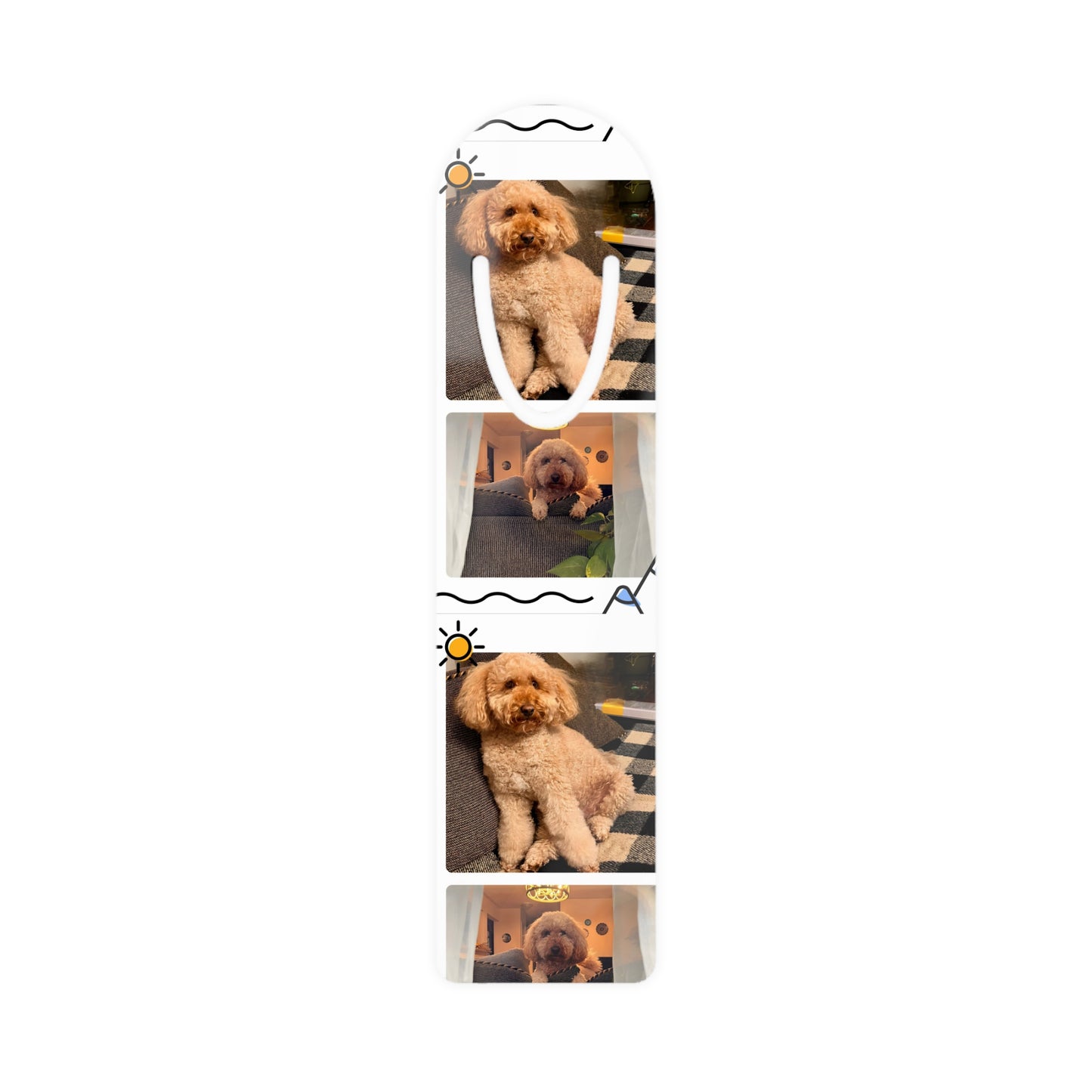 Bookmark With Darwin
