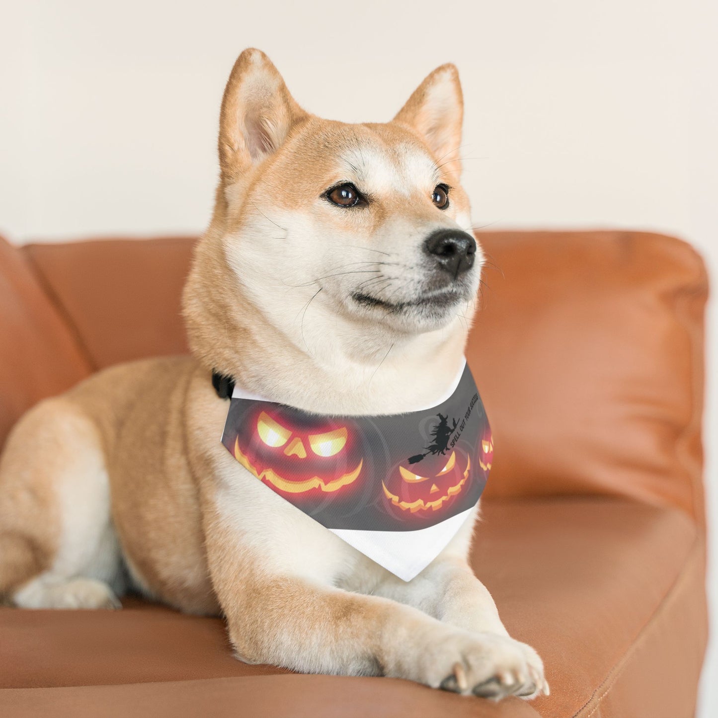 Pet Bandana