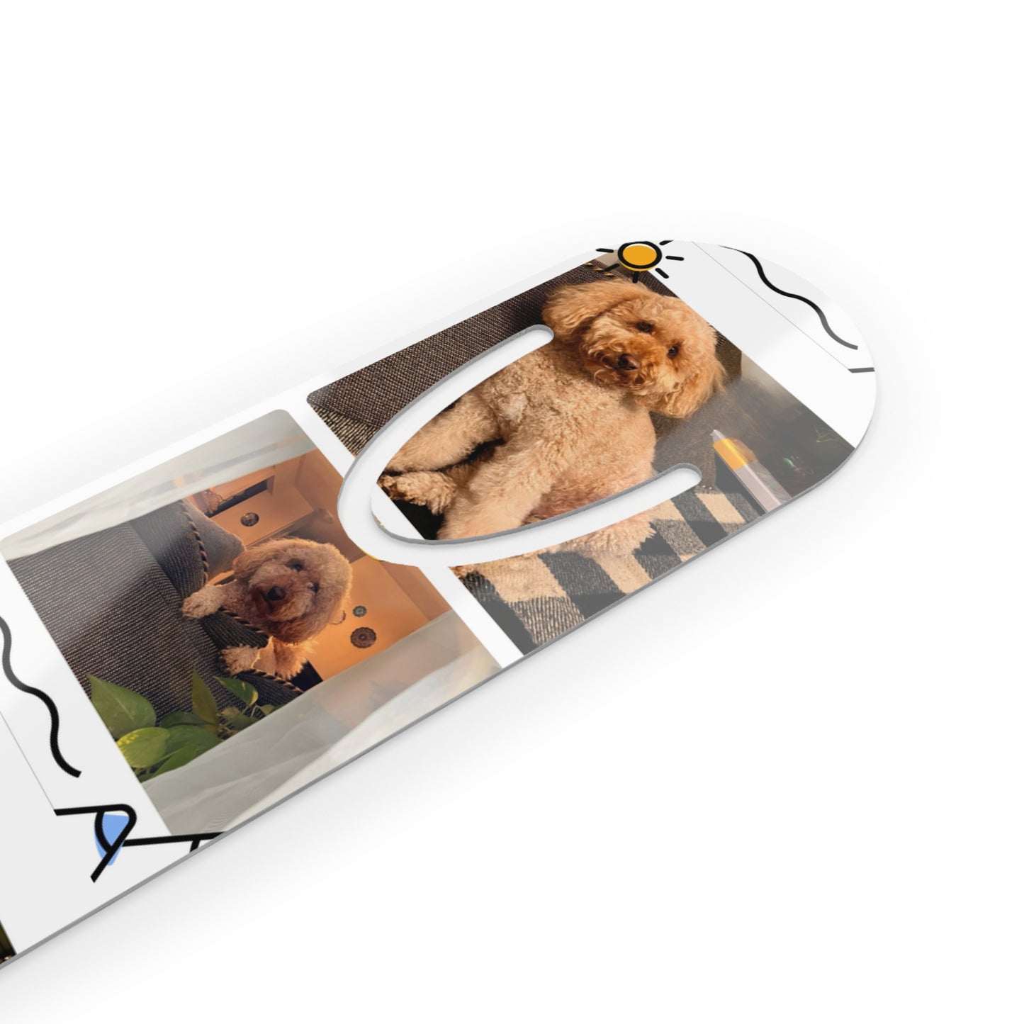 Bookmark With Darwin