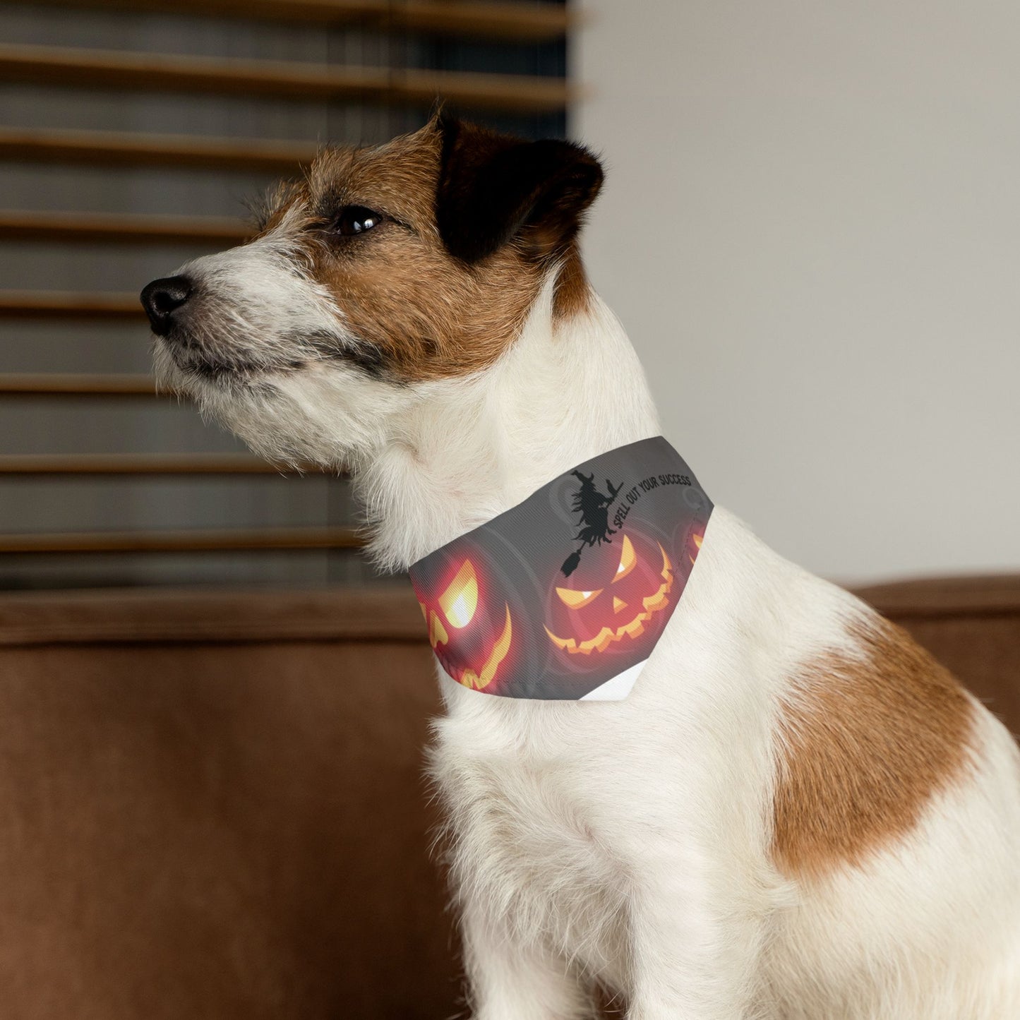 Pet Bandana