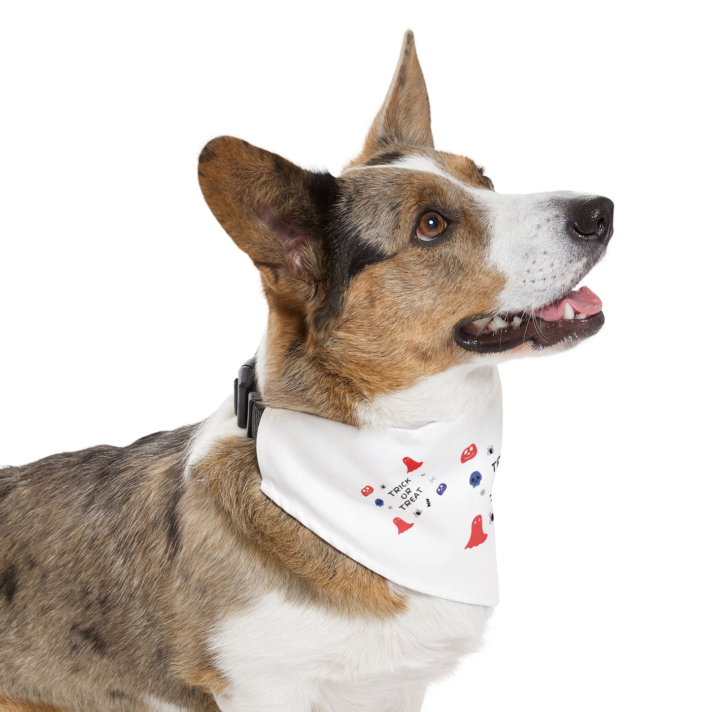 Pet Bandana