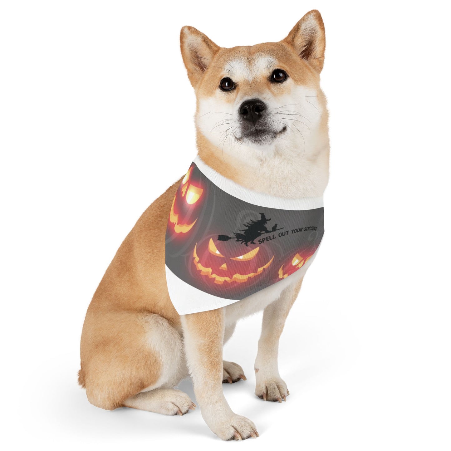 Pet Bandana