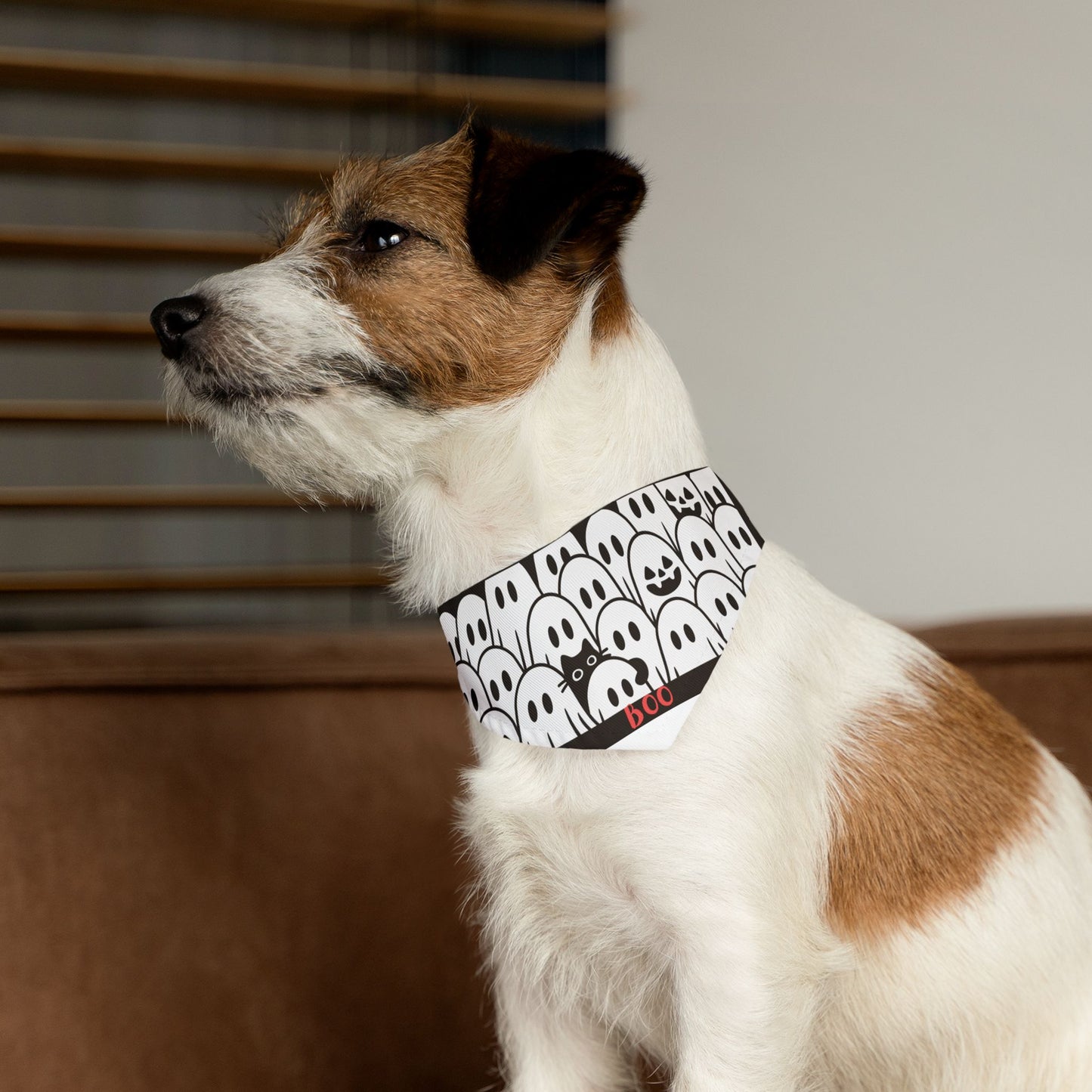 Pet Bandana