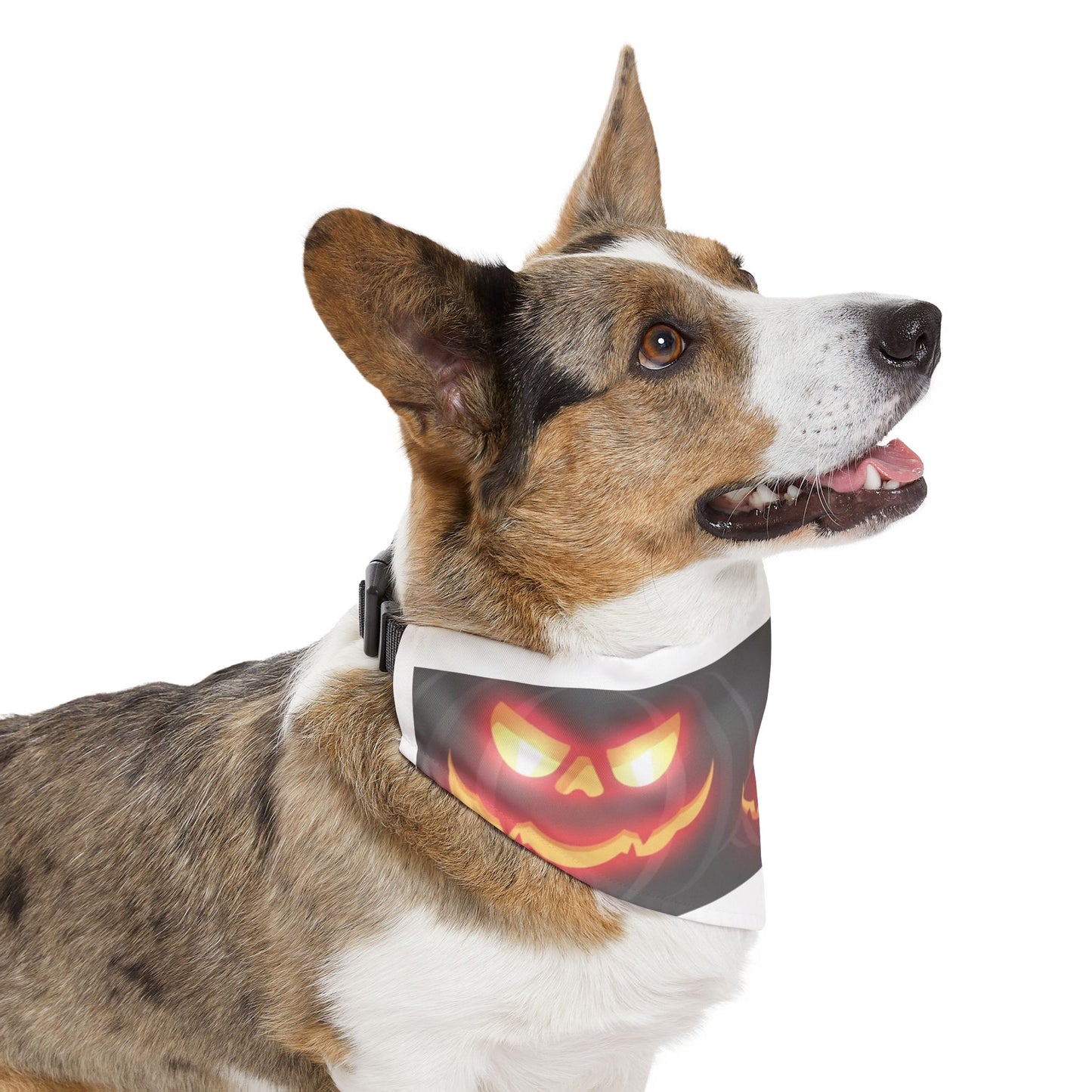 Pet Bandana