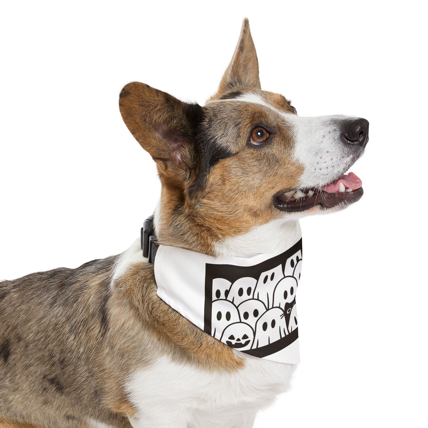Pet Bandana