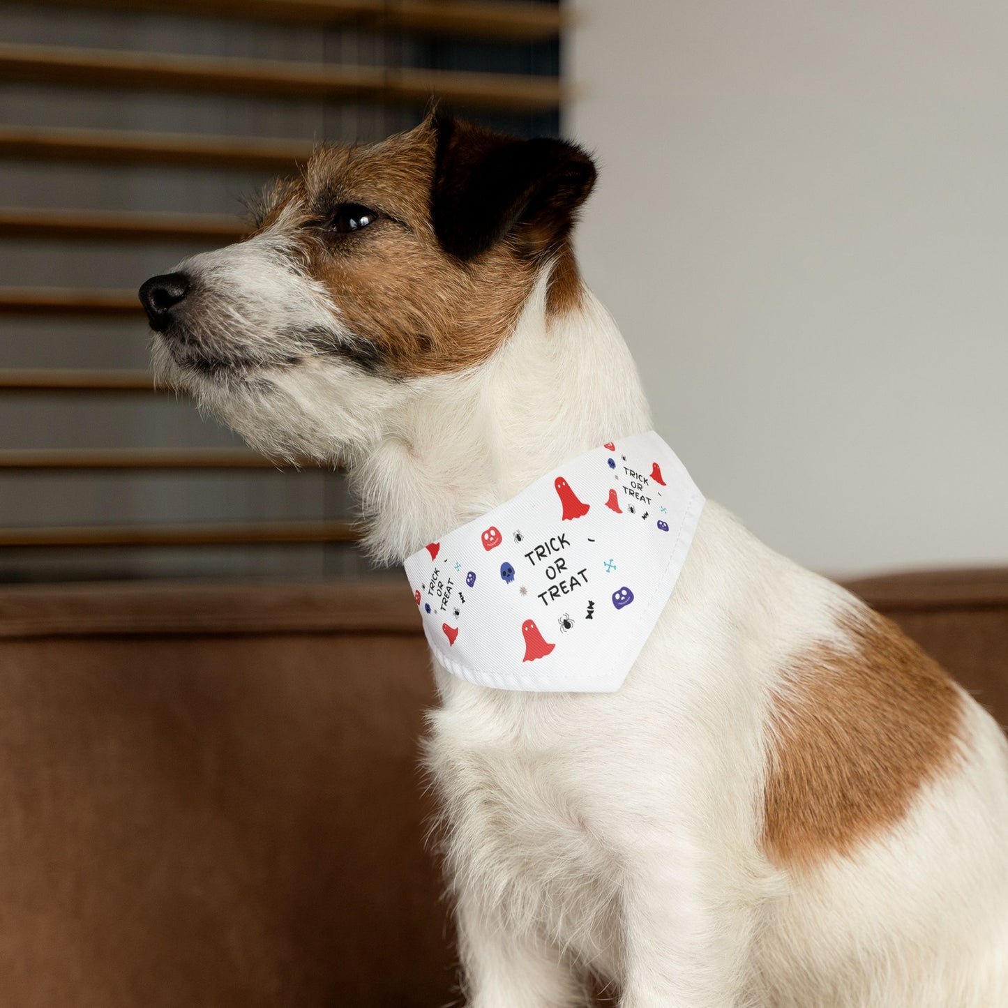 Pet Bandana