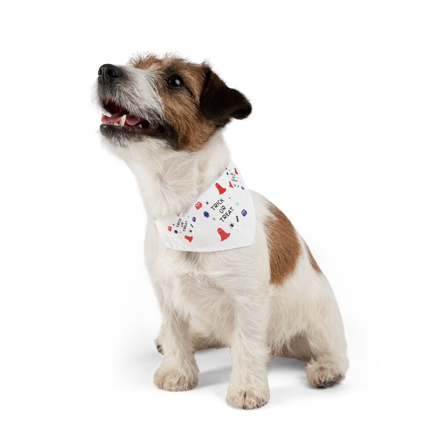 Pet Bandana