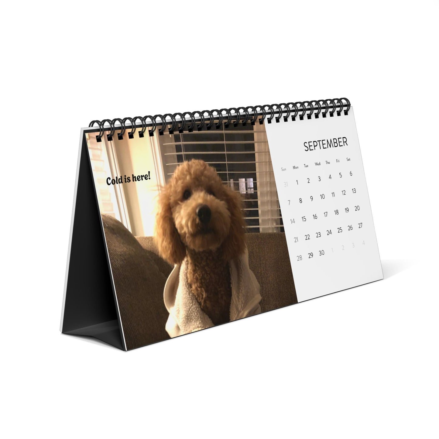 Desktop Calendar (2025) Pets Pictures