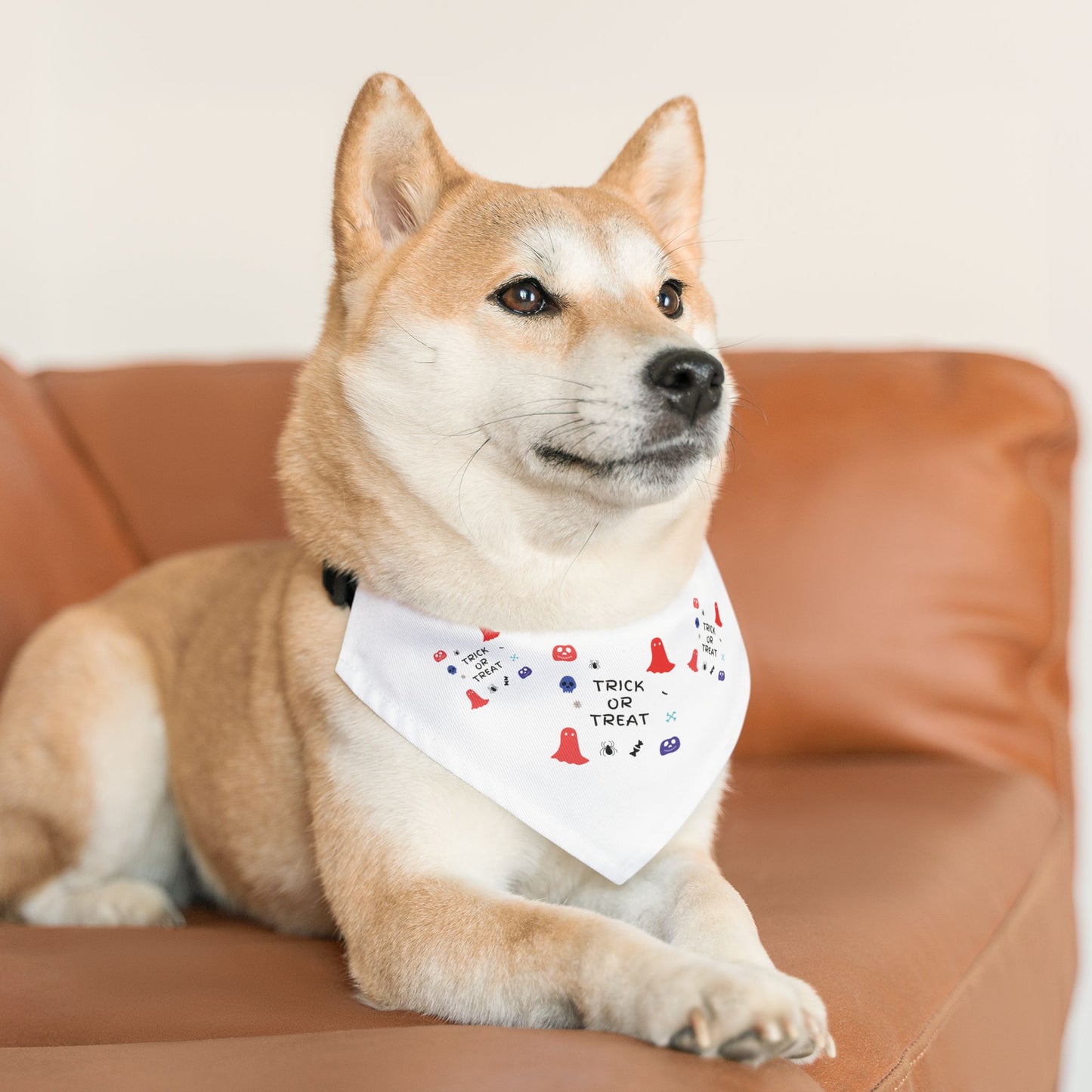 Pet Bandana