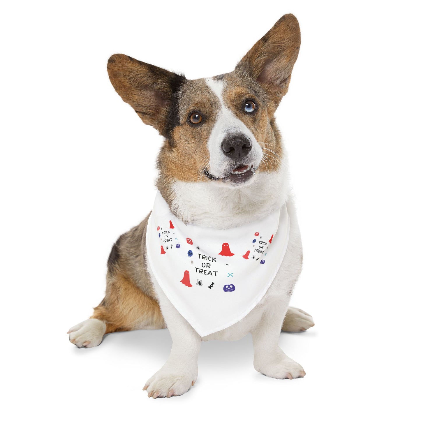 Pet Bandana