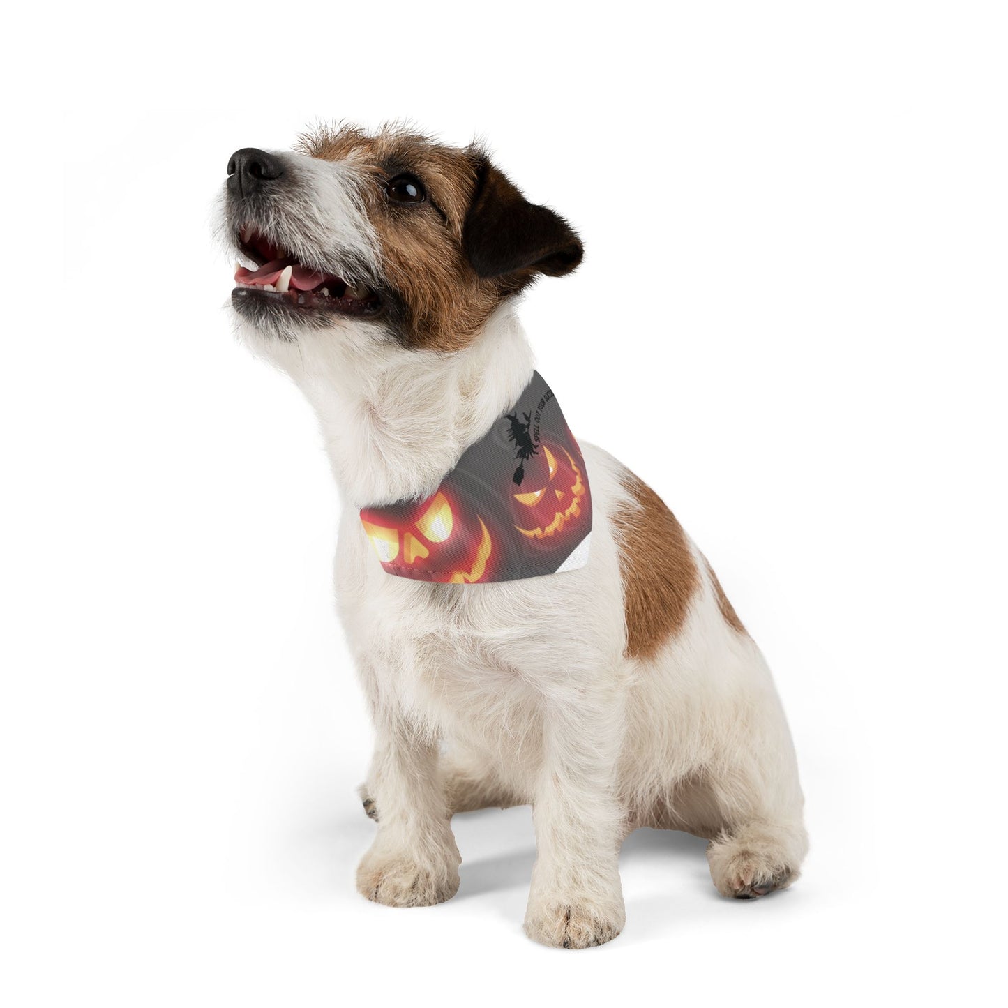 Pet Bandana