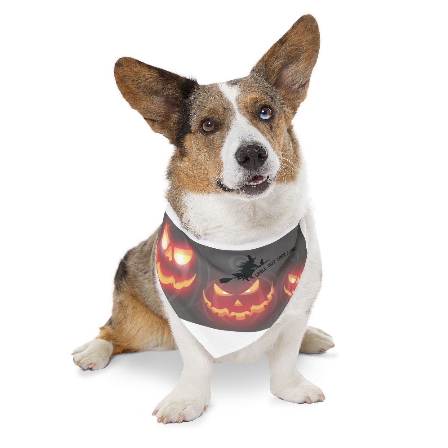 Pet Bandana