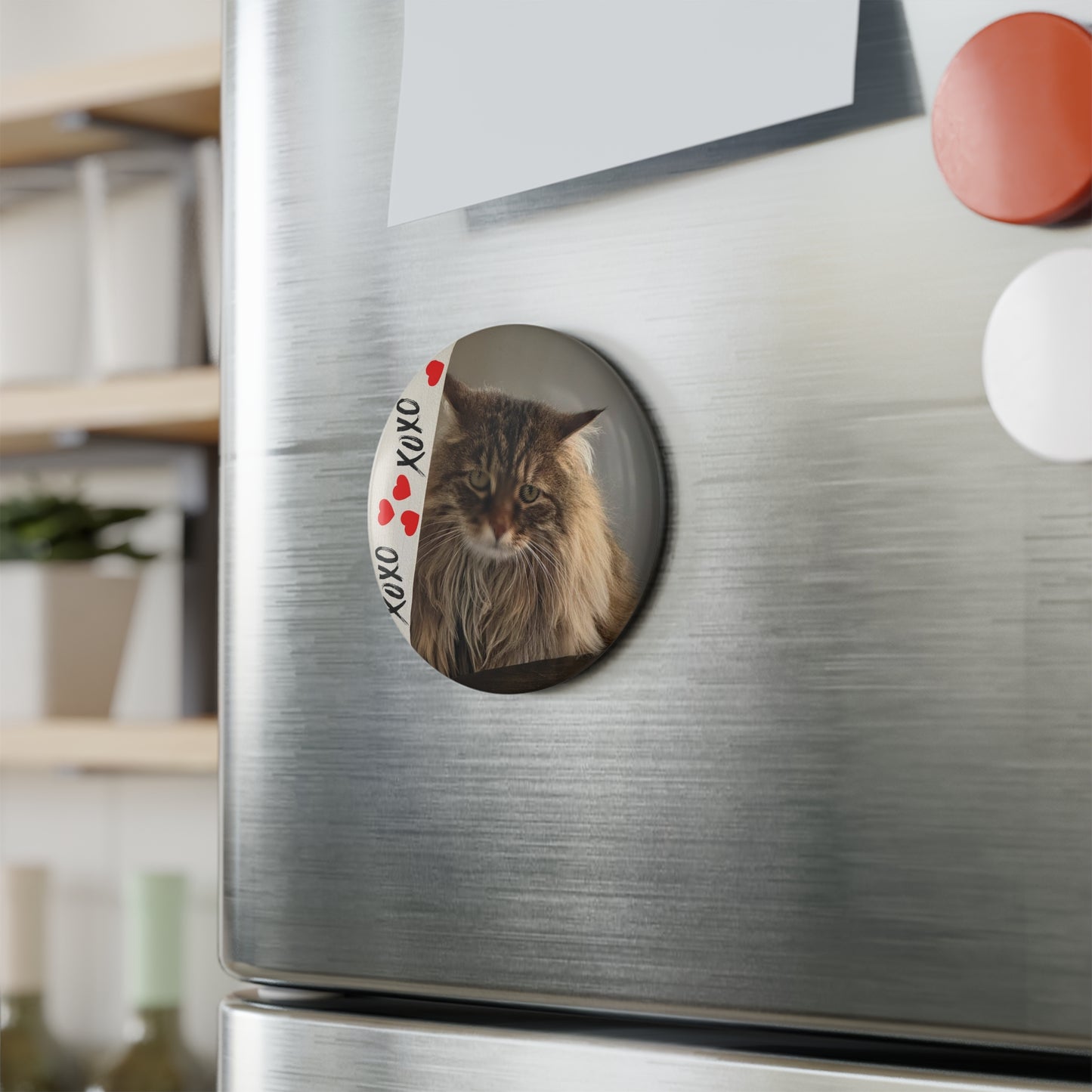 Custom Magnet Mishka the Cat