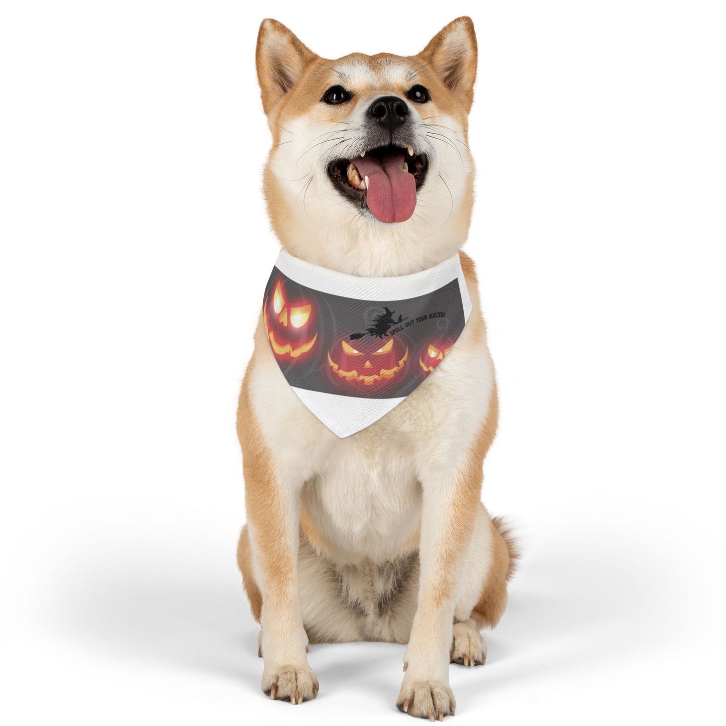 Pet Bandana