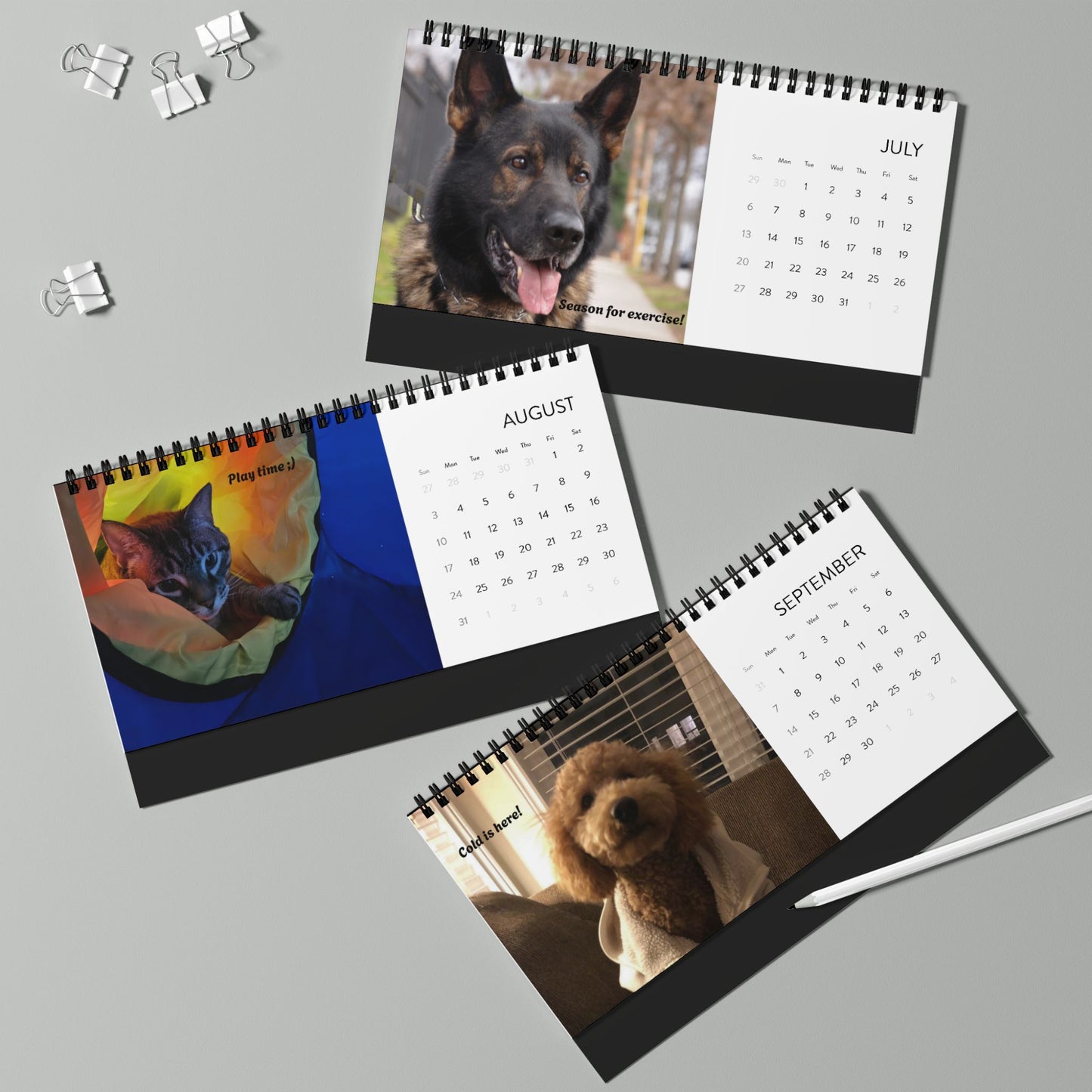 Desktop Calendar (2025) Pets Pictures