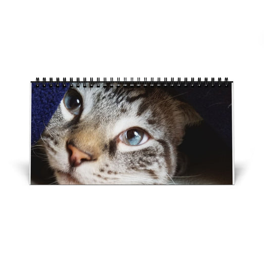 Desktop Calendar (2025) Pets Pictures | Cat & Dog Lovers Calendar
