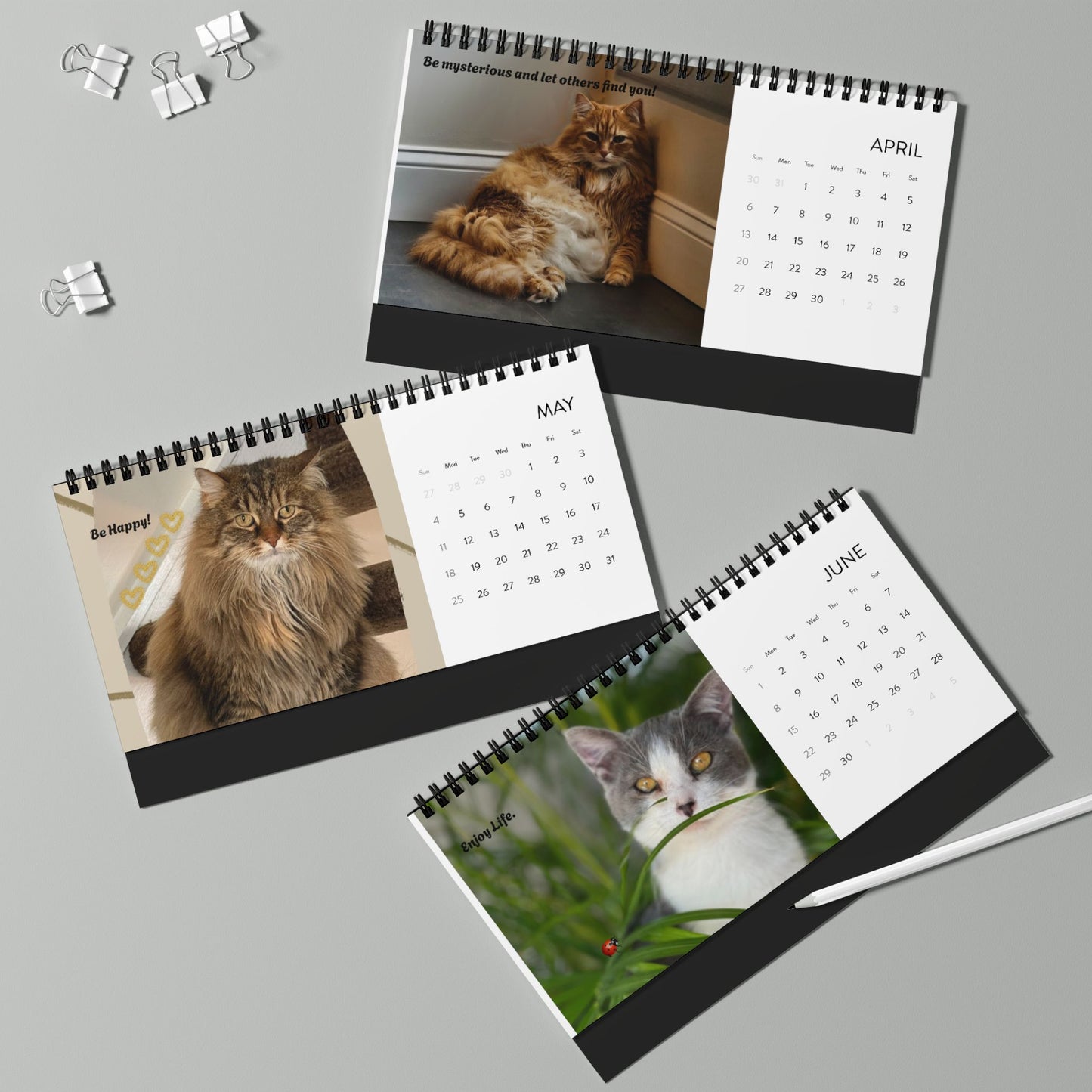 Desktop Calendar (2025) Pets Pictures