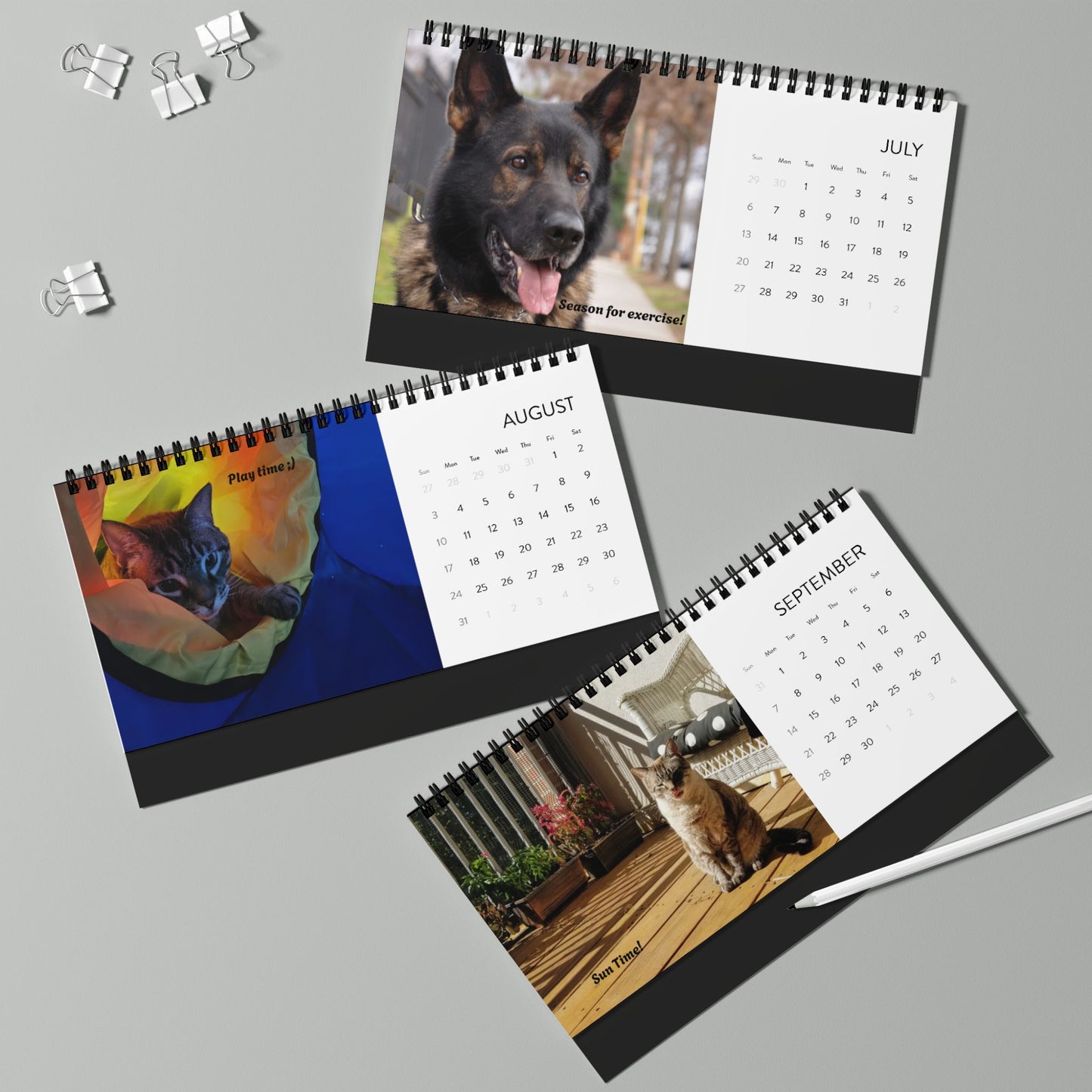 Desktop Calendar (2025) Pets Pictures | Cat & Dog Lovers Calendar