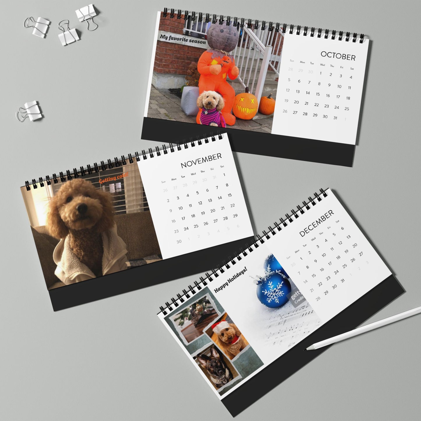 Desktop Calendar (2025) Pets Pictures | Cat & Dog Lovers Calendar
