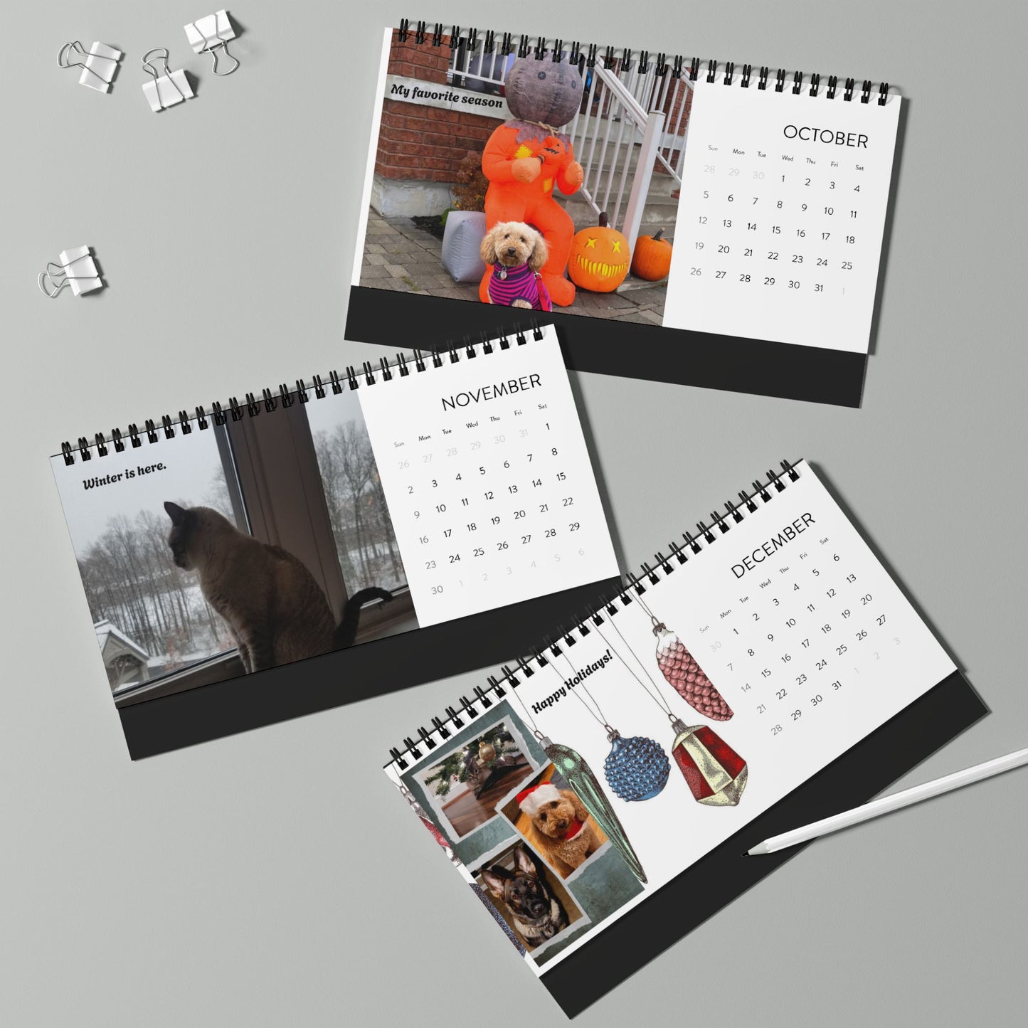 Desktop Calendar (2025) Pets Pictures