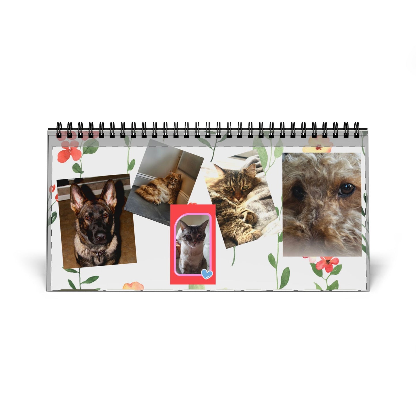 Desktop Calendar (2025) Pets Pictures